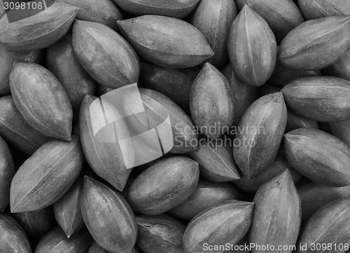 Image of Pecan nuts background
