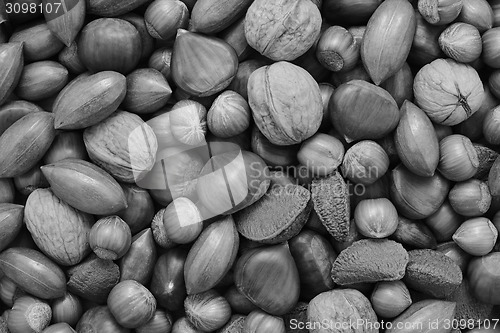 Image of Mixed nuts - chestnuts, pecans, walnuts, brazils and hazelnuts
