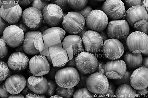 Image of Hazelnuts background 