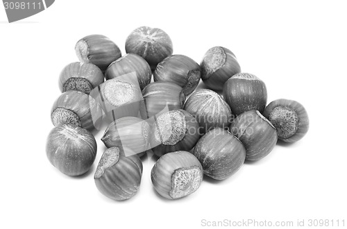 Image of Hazelnuts in shells