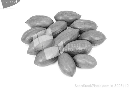Image of Pecan nuts in shells