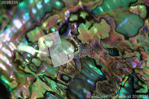 Image of luxury pearl texture