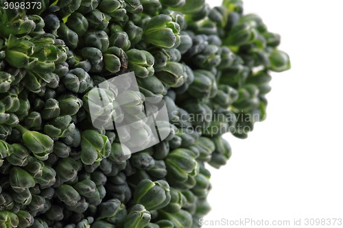 Image of green broccoli vegetable texture