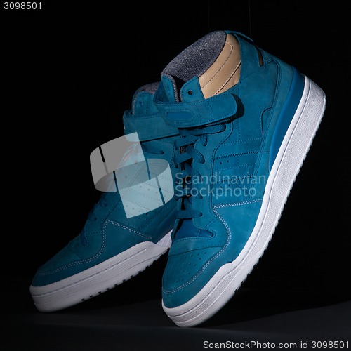 Image of Picture of a pair of blue trainers