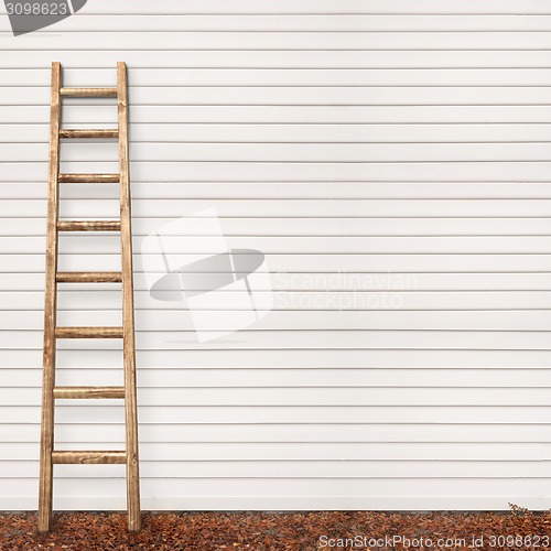 Image of wooden plank wall, ground covered with leaves