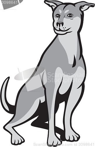 Image of Husky Shar Pei Cross Dog Sitting Cartoon