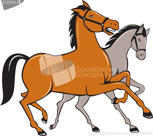 Image of Two Horses Prancing Side Cartoon