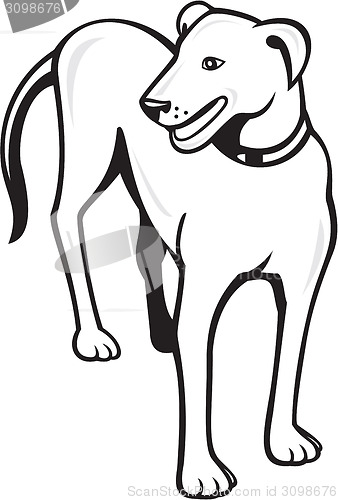 Image of Dog Standing Front Cartoon