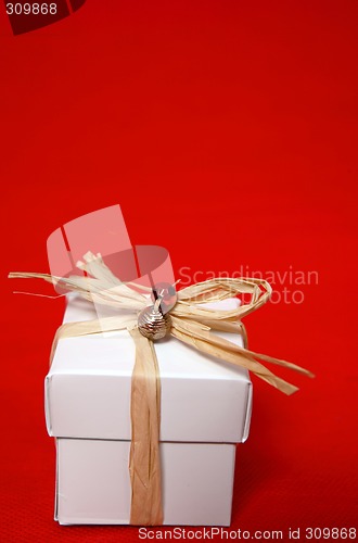 Image of Pretty present