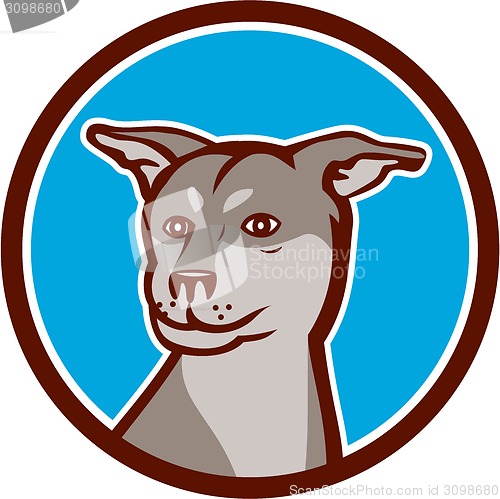 Image of Husky Shar Pei Cross Dog Head Cartoon