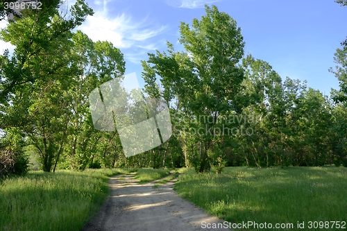 Image of Green meadow with blue sky