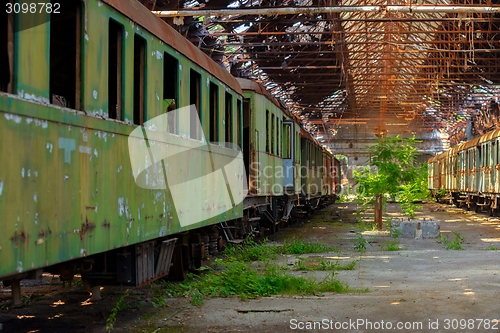 Image of Cargo trains in old train depot