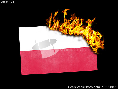Image of Flag burning - Poland
