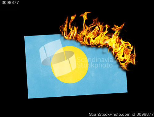 Image of Flag burning - Palau