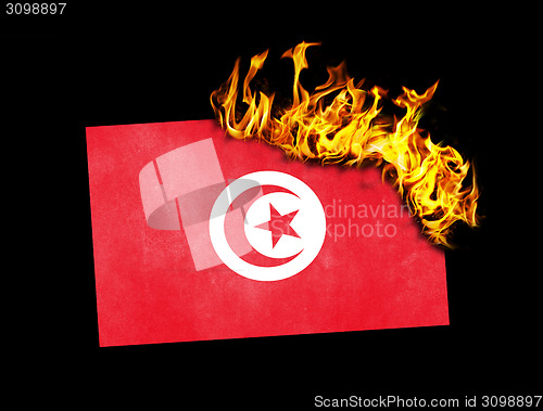 Image of Flag burning - Tunisia