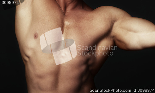 Image of Body of muscular man