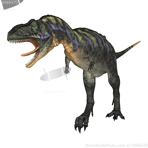 Image of Dinosaur Aucasaurus