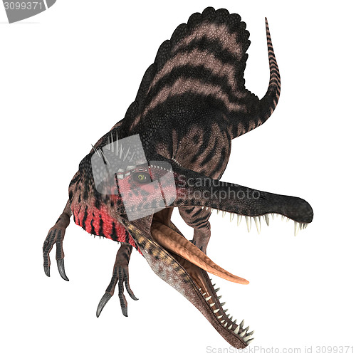 Image of Dinosaur Spinosaurus