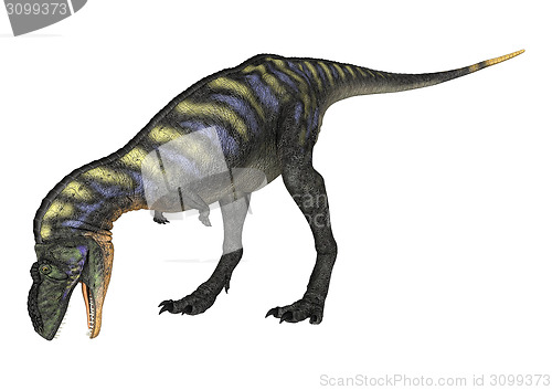 Image of Dinosaur Aucasaurus