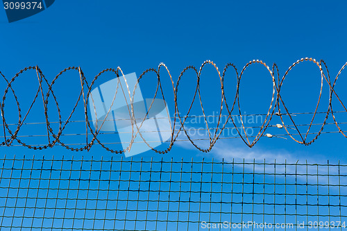 Image of Wired Fence with Spiral Barbwire