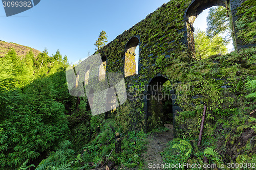 Image of Stone Wall Old Aqueduct in the Forest