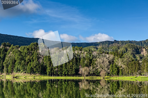 Image of Beautiful Forest Landscape with Lake and Mountains