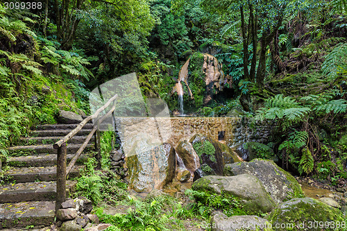 Image of Hot-Spring Pool in Tropical Forest