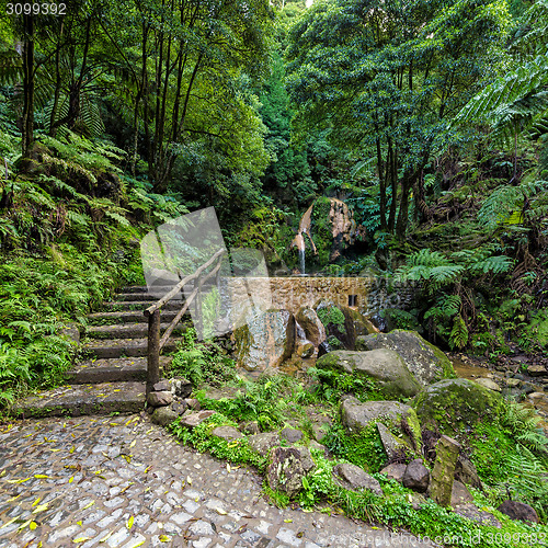 Image of Hot-Spring Pool in Tropical Forest