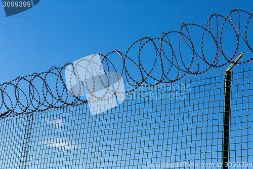 Image of Wired Fence with Spiral Barbwire