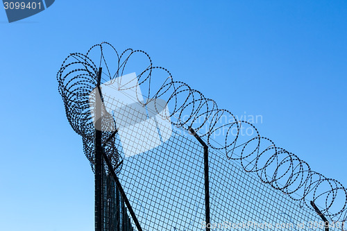 Image of Wired Fence with Spiral Barbwire