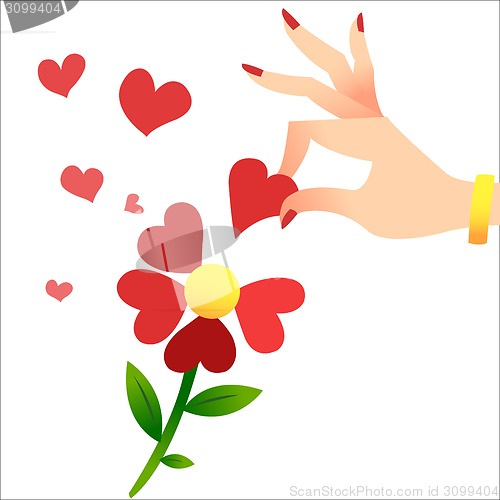 Image of Guessing on the petals. A womans hand lifts the heart petals