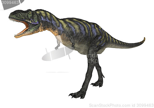 Image of Dinosaur Aucasaurus