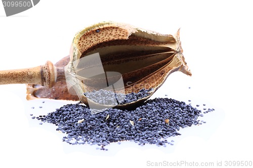 Image of natural poppy head with seeds