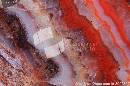 Image of color agate background