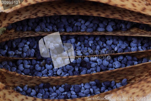 Image of natural poppy seeds background