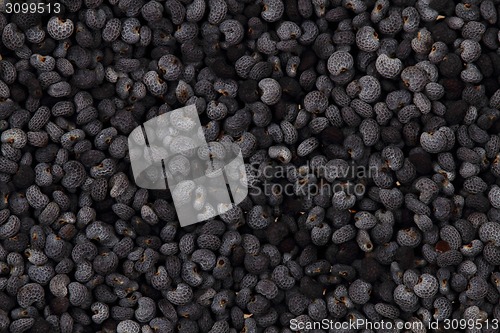 Image of natural poppy seeds background