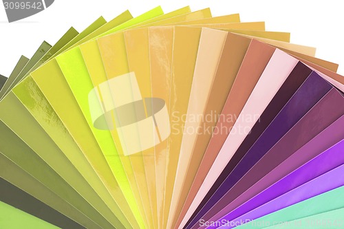 Image of Warm Color Tones