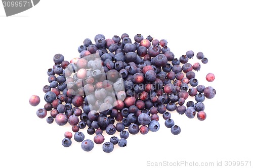Image of fresh blueberries 