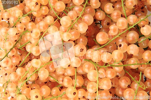 Image of white currant background