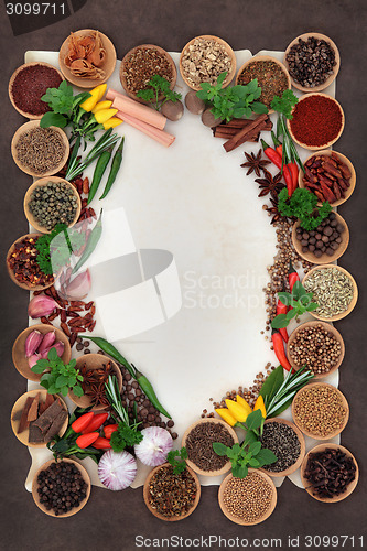 Image of Herb and Spice Abstract Border