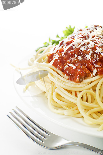 Image of Spaghetti