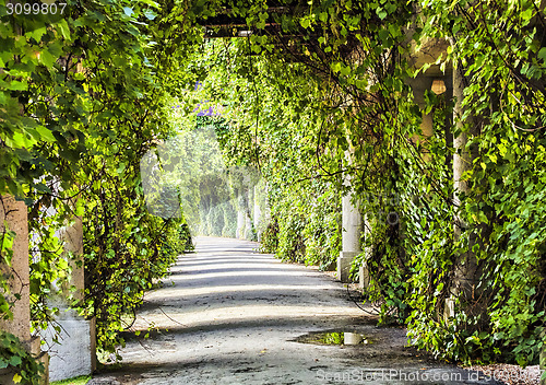 Image of archway in the park at summer.