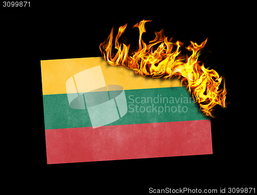 Image of Flag burning - Lithuania