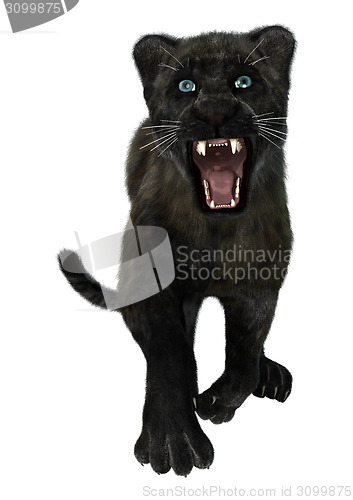 Image of Black Panther