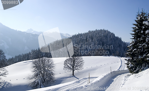 Image of Ski track - Dachstein