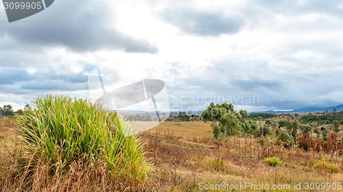 Image of Dark clouds hovering over the fields