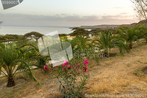 Image of Shores of Langano Lake