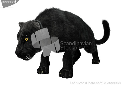 Image of Black Panther