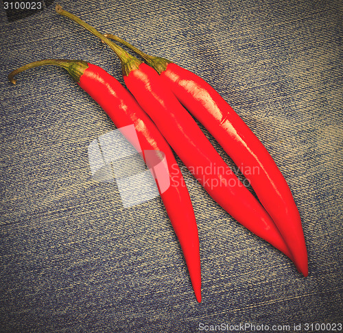 Image of red chili pepper on jeans background