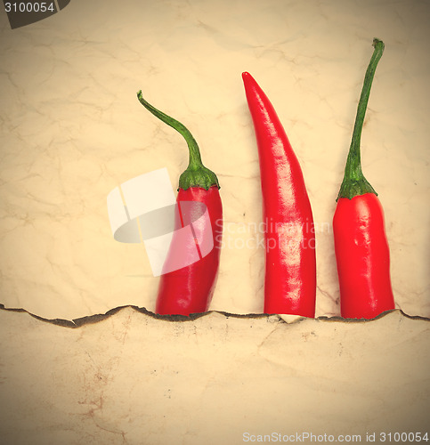 Image of red hot chili peppers